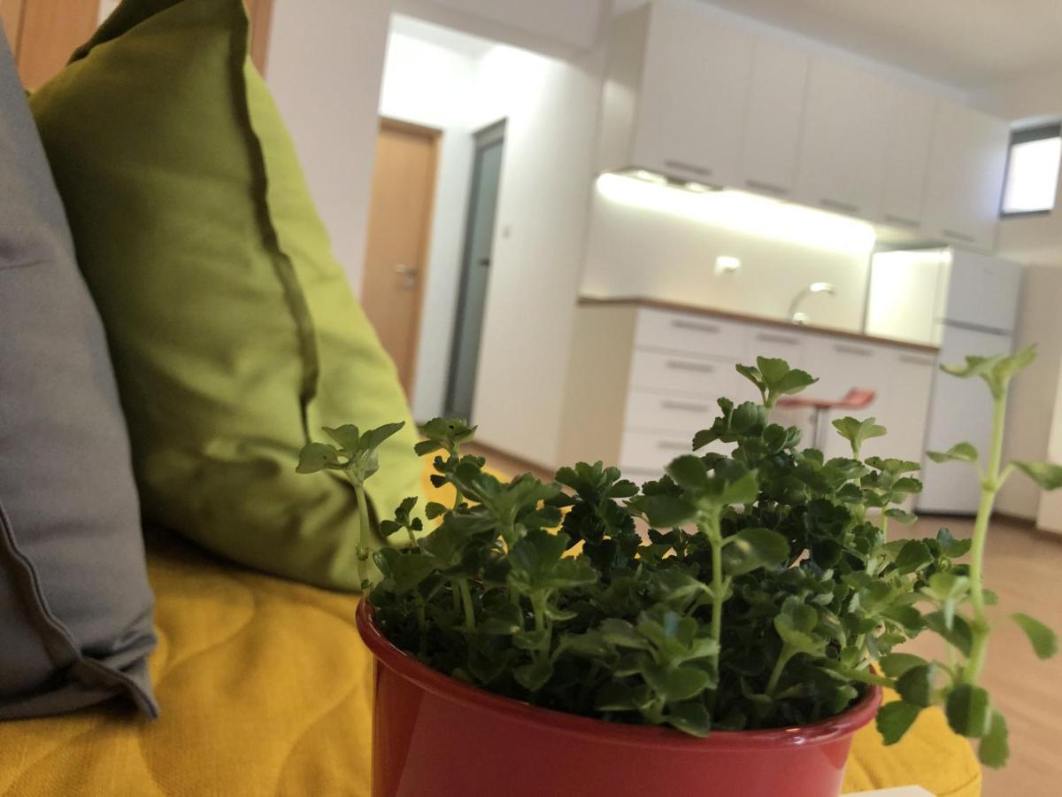 Aparthotel Elly ポモリエ エクステリア 写真